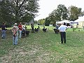 img 186